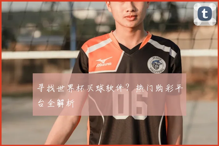 寻找世界杯买球软件？热门购彩平台全解析