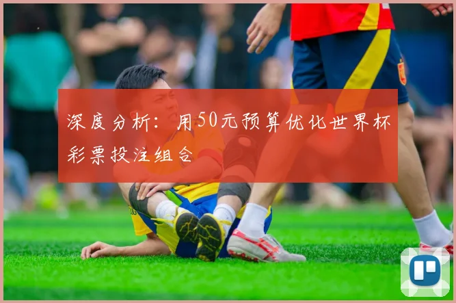 深度分析：用50元预算优化世界杯彩票投注组合