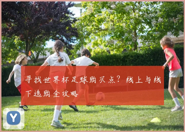 寻找世界杯足球购买点？线上与线下选购全攻略